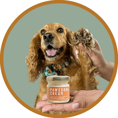 Productos para Patitas