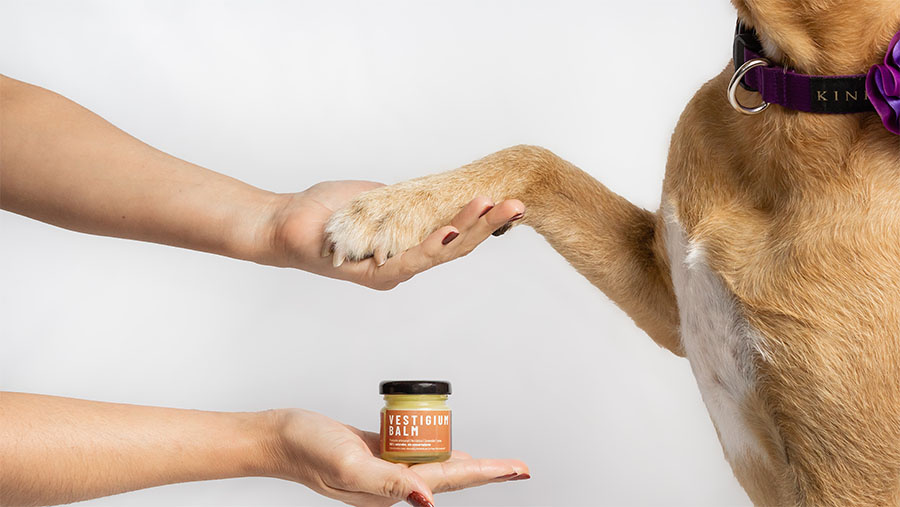 Investigium Balm